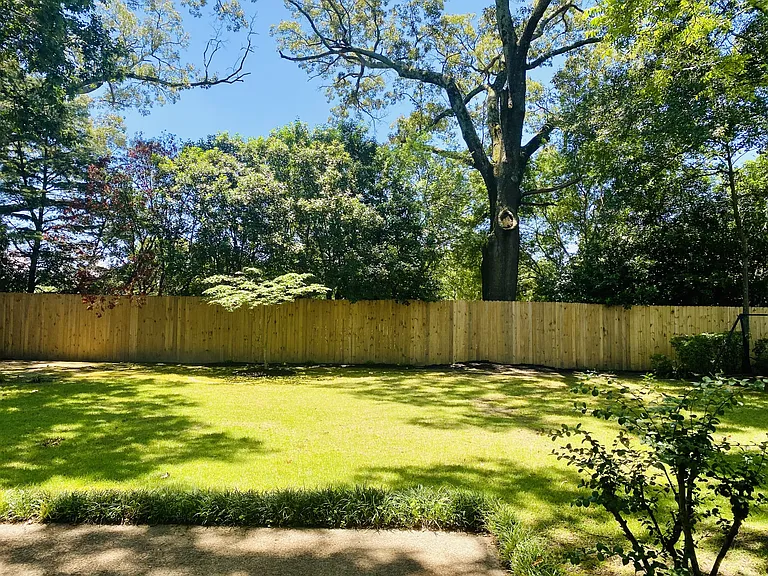 Large back yard.