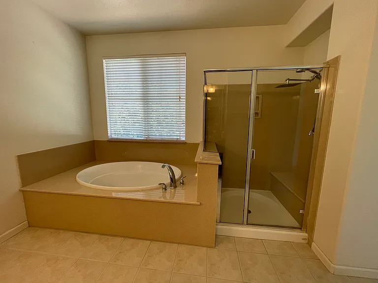 Master bath shower and tub