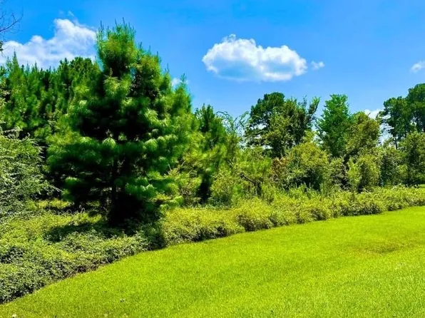 0 Lakeshore Dr Lot 17, Hempstead, TX 77445