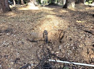 9283 Mountain Meadow Rd, Shingletown, CA 96088