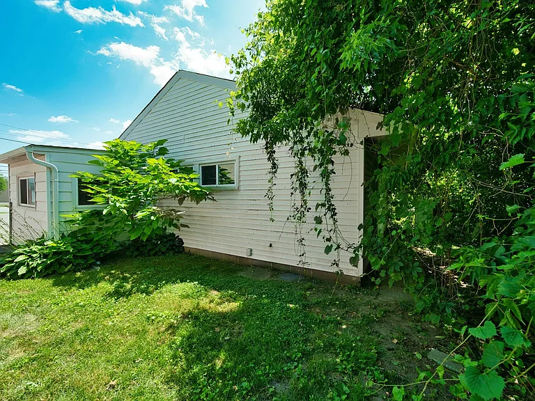 Back yard