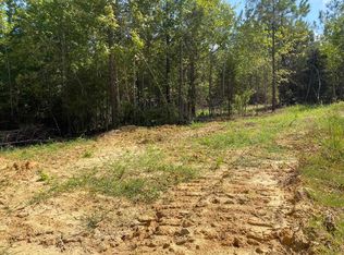Otis Paine Rd, Bethel Springs, TN 38315