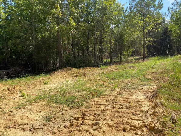 Otis Paine Rd, Bethel Springs, TN 38315