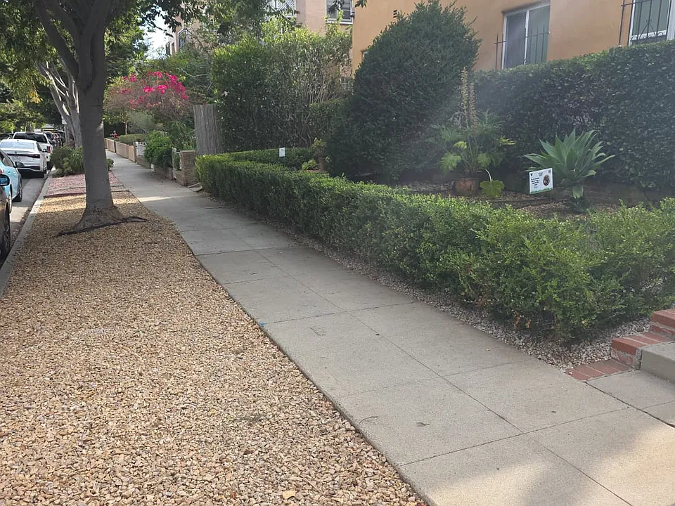S Reeves Dr