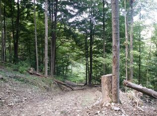 4810 Deusenberry Rd, Cohocton, NY 14826