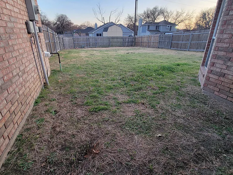 Backyard.