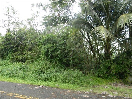 2nd image of Ahi St Lot 1