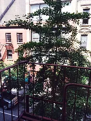 Rented by New York Manhattan Real Estate Incorporated