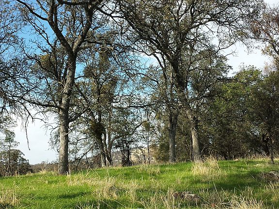 4th image of 3693 Highway 132