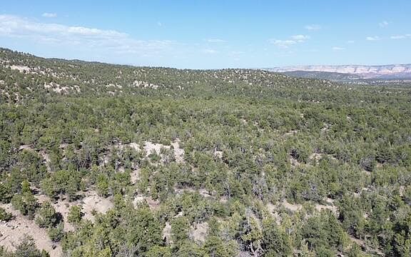 4th image of Mile 51 Hwy E #9