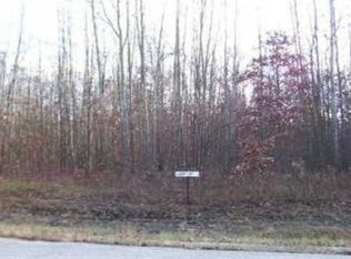 20905 Blue Fox Way #27, Howard City, MI 49329
