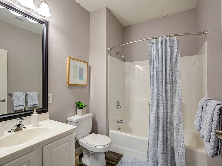 Spacious bathrooms with bathtub and shower, framed mirror over vanity with toilet positioned between bath and vanity.