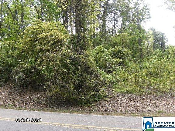 3rd image of 450 Marshall Ave Lot 1.000