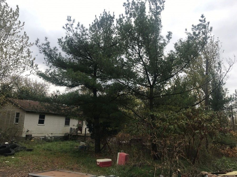 2nd image of 1132 Tremont Ave NE