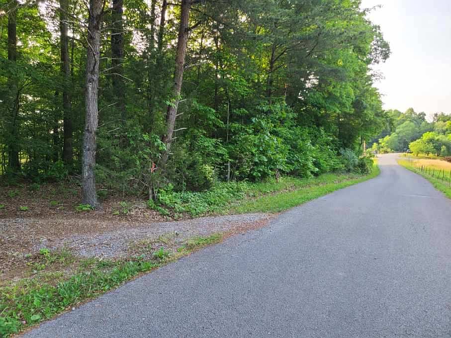 2nd image of 241 Barger Spur