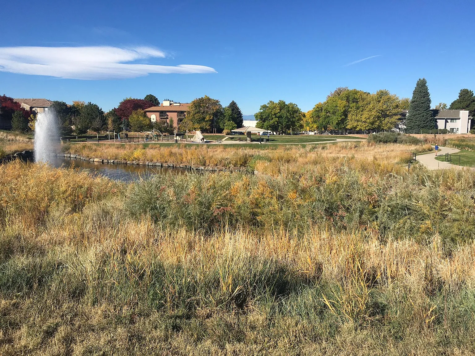 2 bed, 927 sqft, $1,500 — Photo 4