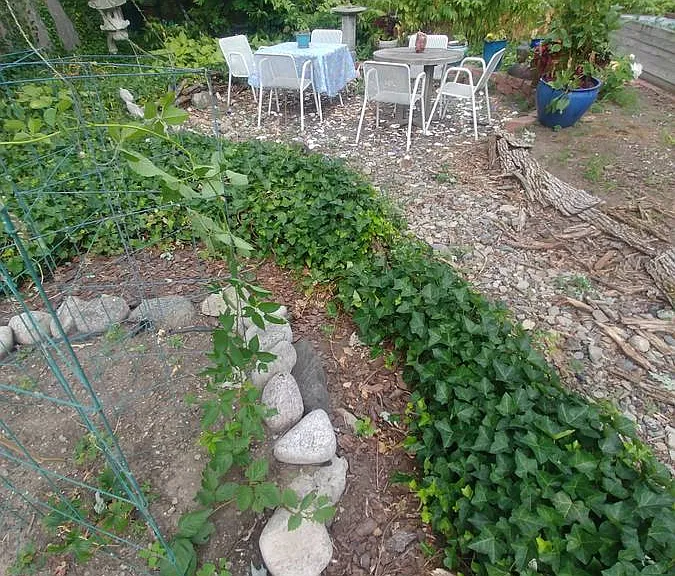 14 Glenwood Ave #2 — Photo 13