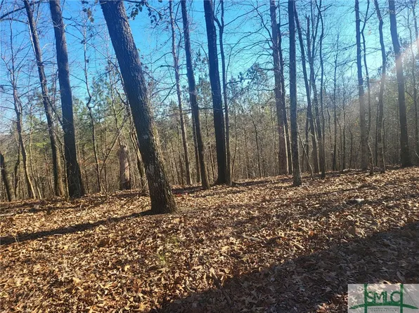 0 Mission Farm Road, Gordon, GA 31031