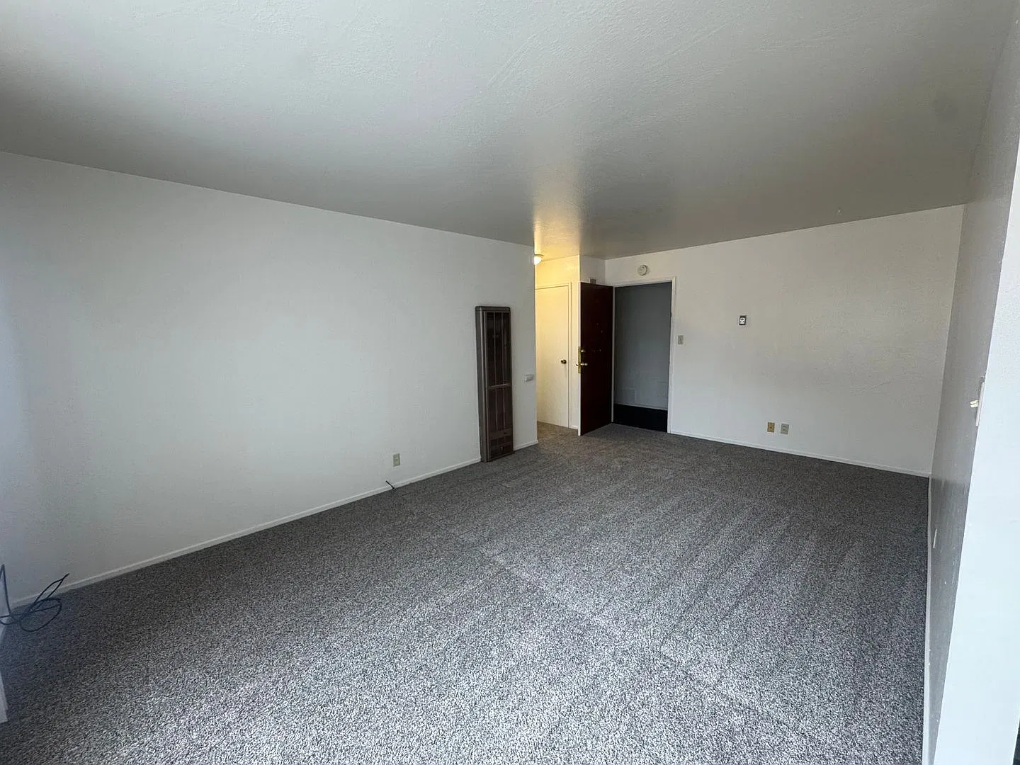 Spacious units in a great location by the RSF, Ellsworth at Haste St. - New Carpet! — Photo 4