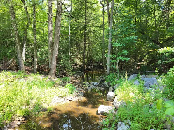 0 Georgee Rd Lot 91, Jamestown, TN 38556