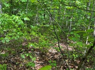 LOT 77 Parkstown Rd, Wilder, TN 38589