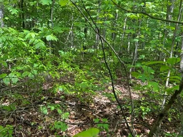 LOT 77 Parkstown Rd, Wilder, TN 38589