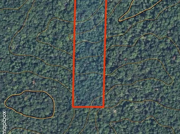 W Of Hwy #21, Grandin, MO 63943