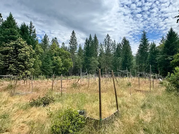 3.2 Miles Out China Grade Rd, Happy Camp, CA 96039