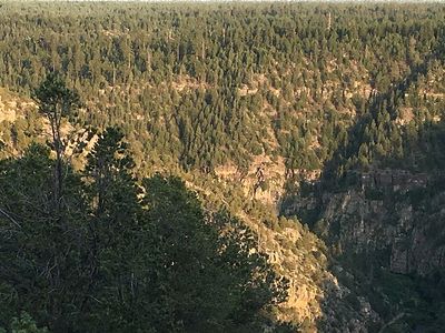 1648 Clear Creek Dr, Happy Jack, AZ, 86024
