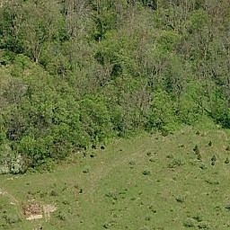 View of acreage wooded and open field