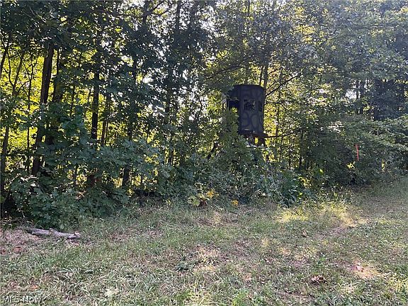 2nd image of 34108 Edwina Rd