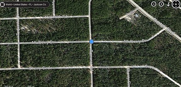 5th image of Mulberry Dr