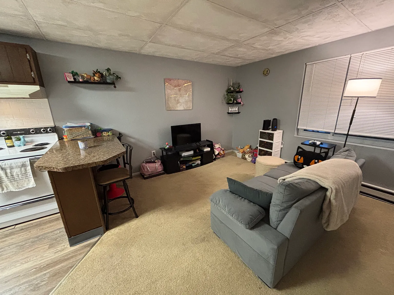 1 bed, 600 sqft, $980 — Photo 3
