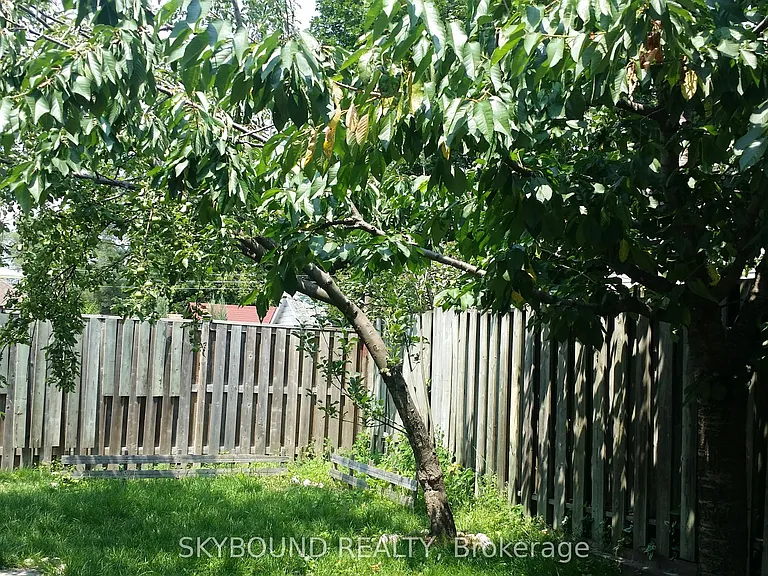 354 Saint Johns Rd #BASEMENT — Photo 4