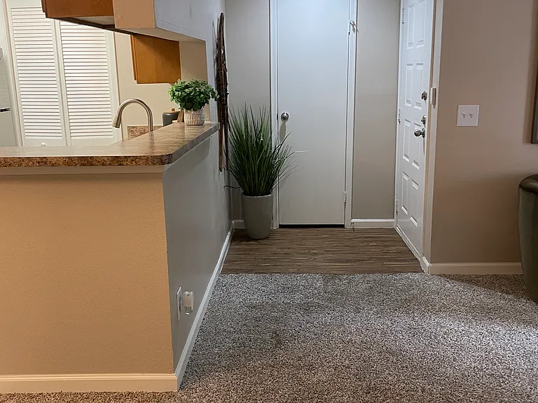 4802 S Wadsworth Blvd #8302 — Photo 13
