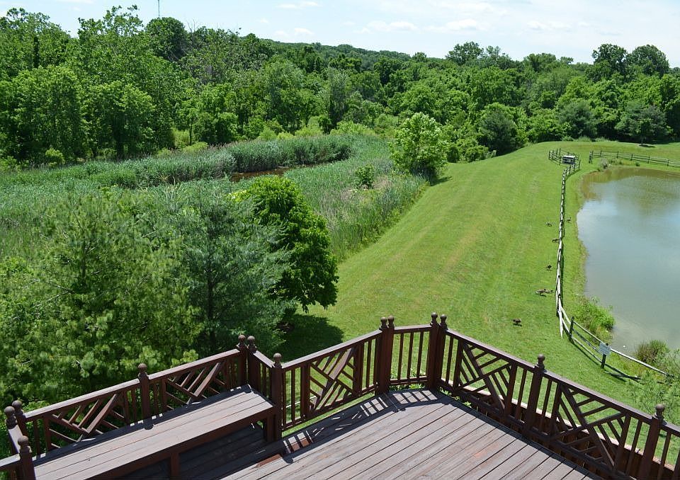 View from the bedroom window