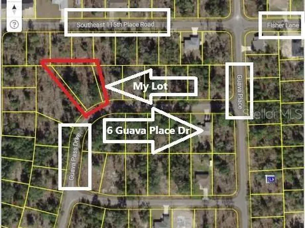 24 Guava Pass Dr, Ocklawaha, FL 32179