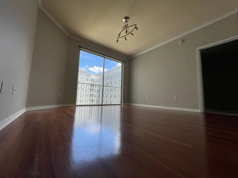 700 S Harbour Island Blvd #512 — Photo 11
