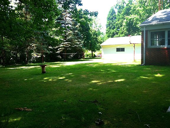 Tree Lined Backyard