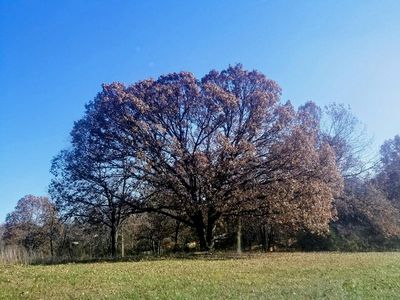 188 Highland Drive, Nixa, MO, 65714