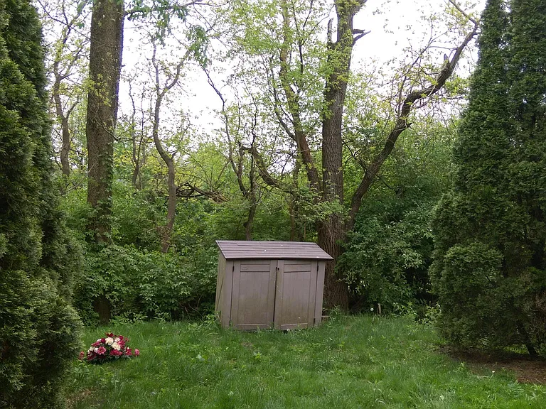 Another picture of your cozy backyard!