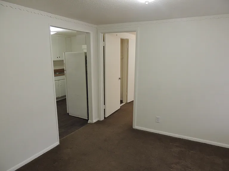 4810 Live Oak — Photo 3