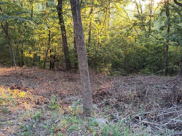 25 Harbor Pointe Dr Lot 25, Silver Pt, TN 38582