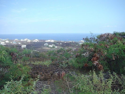 2nd image of Lot 31