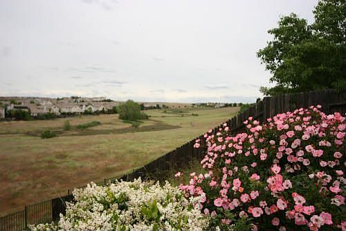 4th image of 1711 Poppy Dr