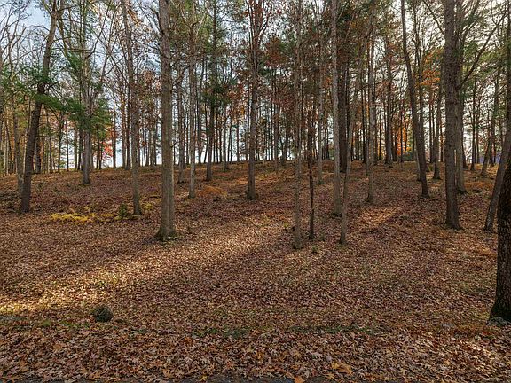 3rd image of Plum Tree Draft Rd