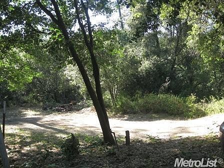 1st image of 23045 Cedar Ln