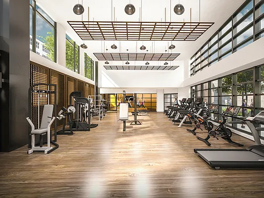 Rented by Gotham Organization | media 27