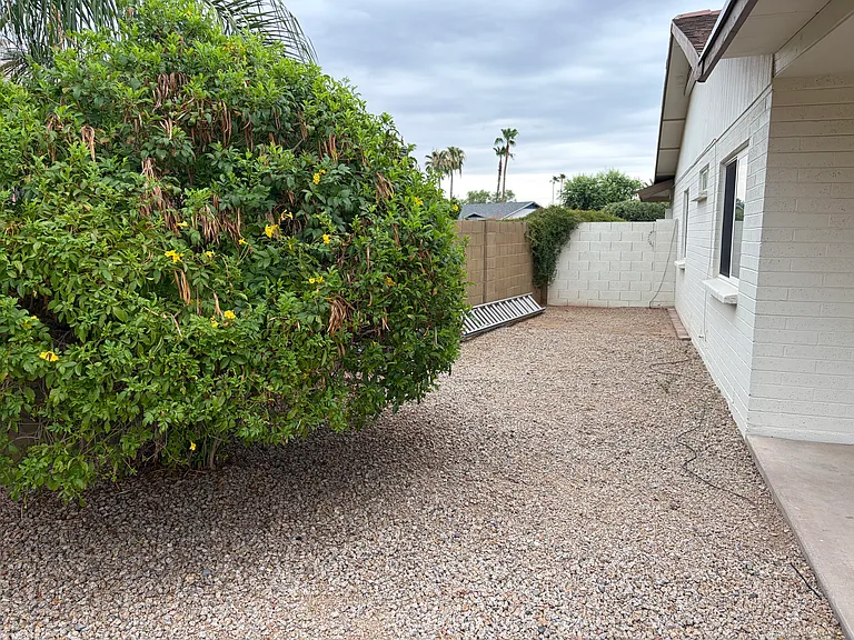 Other Side Yard