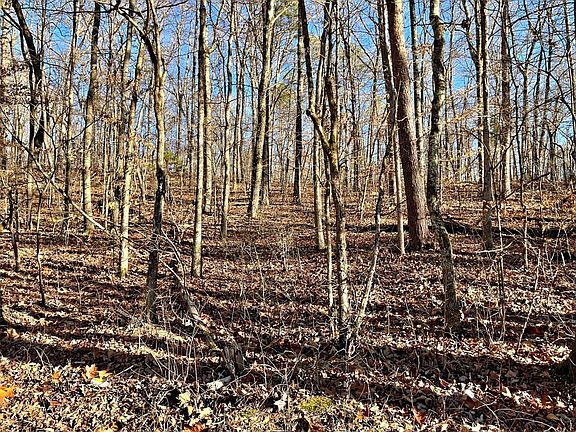 4th image of 0 County Road 138 Lot 2